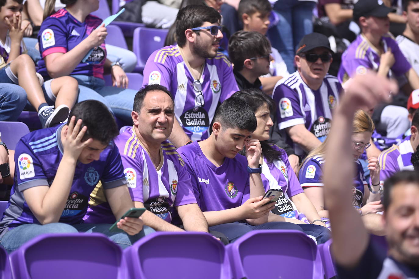 Búscate en la grada del Real Valladolid-Mallorca (4 de 4)