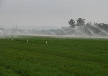 La Junta avanza en la tercera fase de la recarga del acuífero del Carracillo