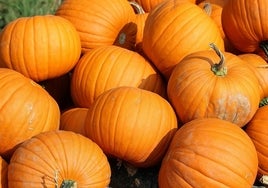 Calabaza con 'ca' de carotenos