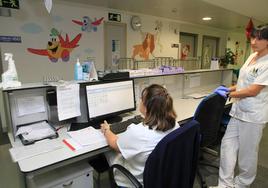 Servicio de Pediatría del Hospital General de Segovia.