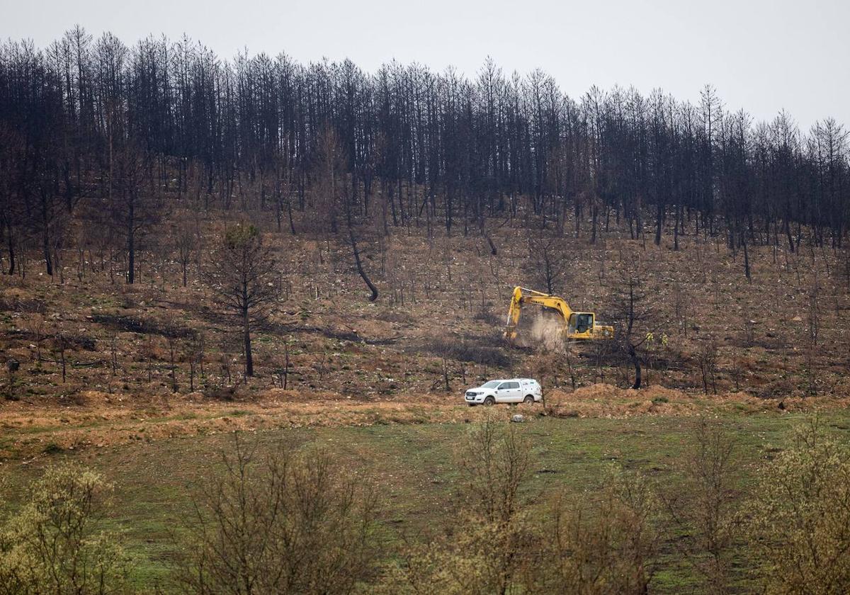 La máquina limpia el terreno en los montes cercanos a Villardeciervos.