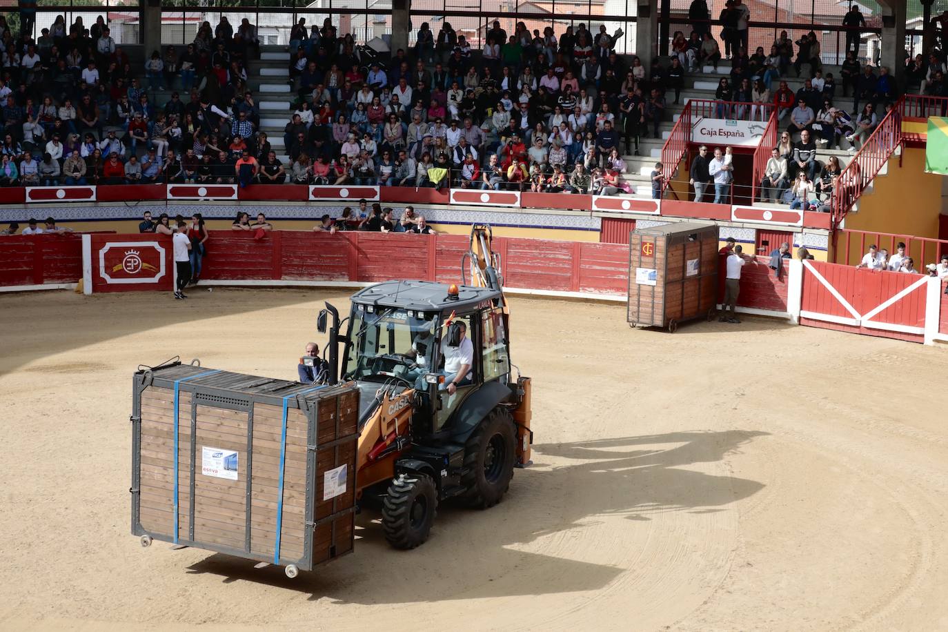Encierro en Pedrajas de San Esteban