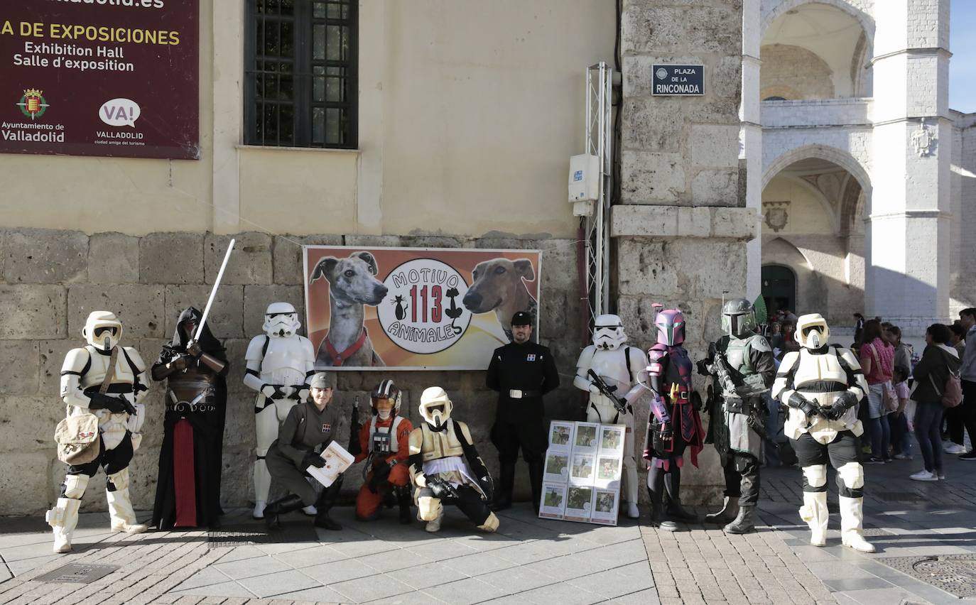 Jornada solidaria por la protección de animales abandonados en Valladolid