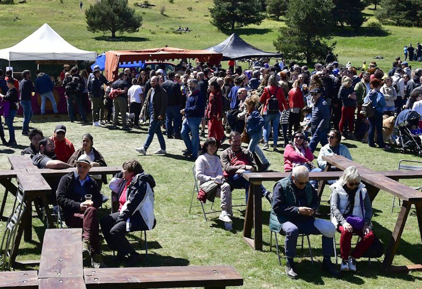 Los vikingos toman El Espinar