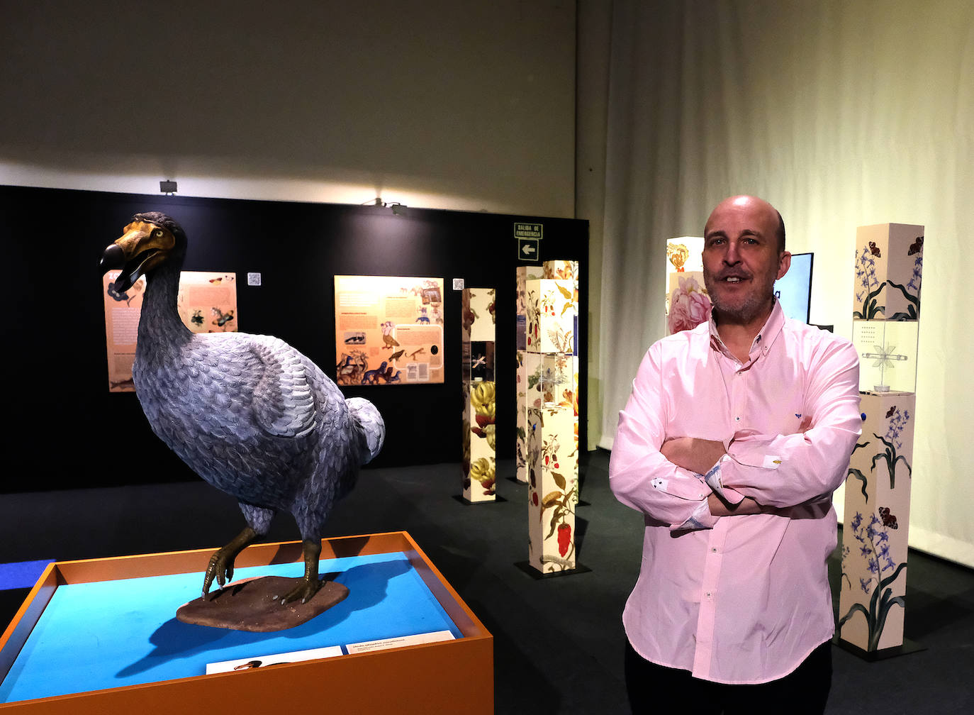 Fernando Tomás García, comisario de la exposición, junto a la escultura de un dodó, ave extinta en el siglo XVII, y otras piezas de la muestra.