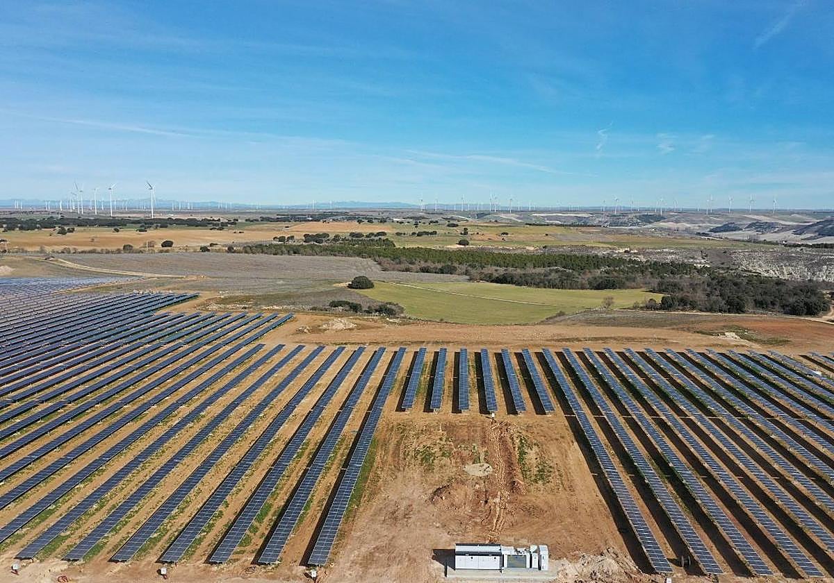 Paneles solares del proyecto de planta híbrida de Iberdrola en Burgos.