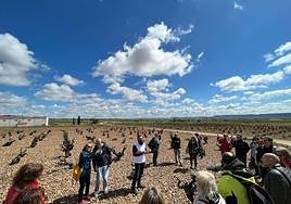Los senderistas participantes en la ruta enoturísticas, visitando algunas viñas centenarias