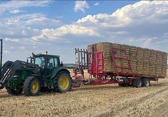 Remolque cargado de paja la pasada campaña.