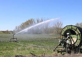 Los agricultores de regadío de Saldaña, Carrión y Villamoronta claman por la modernización