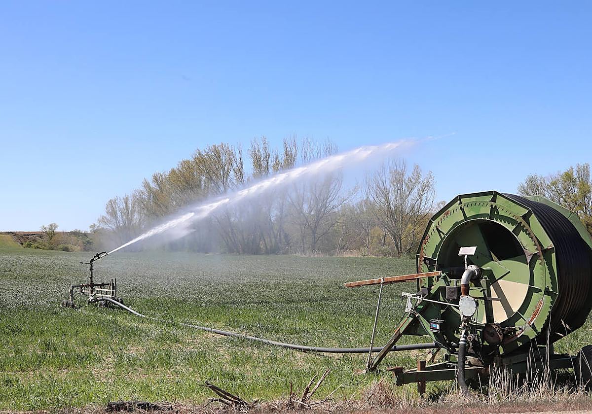 Los agricultores de regadío de Saldaña, Carrión y Villamoronta claman por la modernización