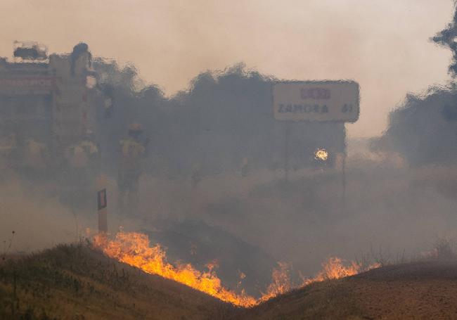 Uno de los incendios que el verano pasado se cebó con Zamora.