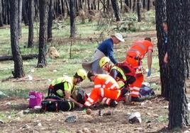 Rescatada una mujer tras sufrir una lesión en un tobillo en un pinar de Cebreros