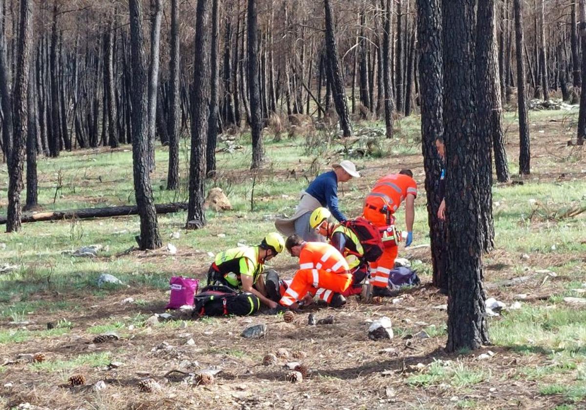 Rescatada una mujer tras sufrir una lesión en un tobillo en un pinar de Cebreros
