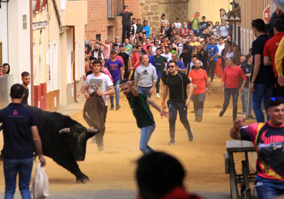 Encierro de 2022 en la calle Derecha de Mayorga.