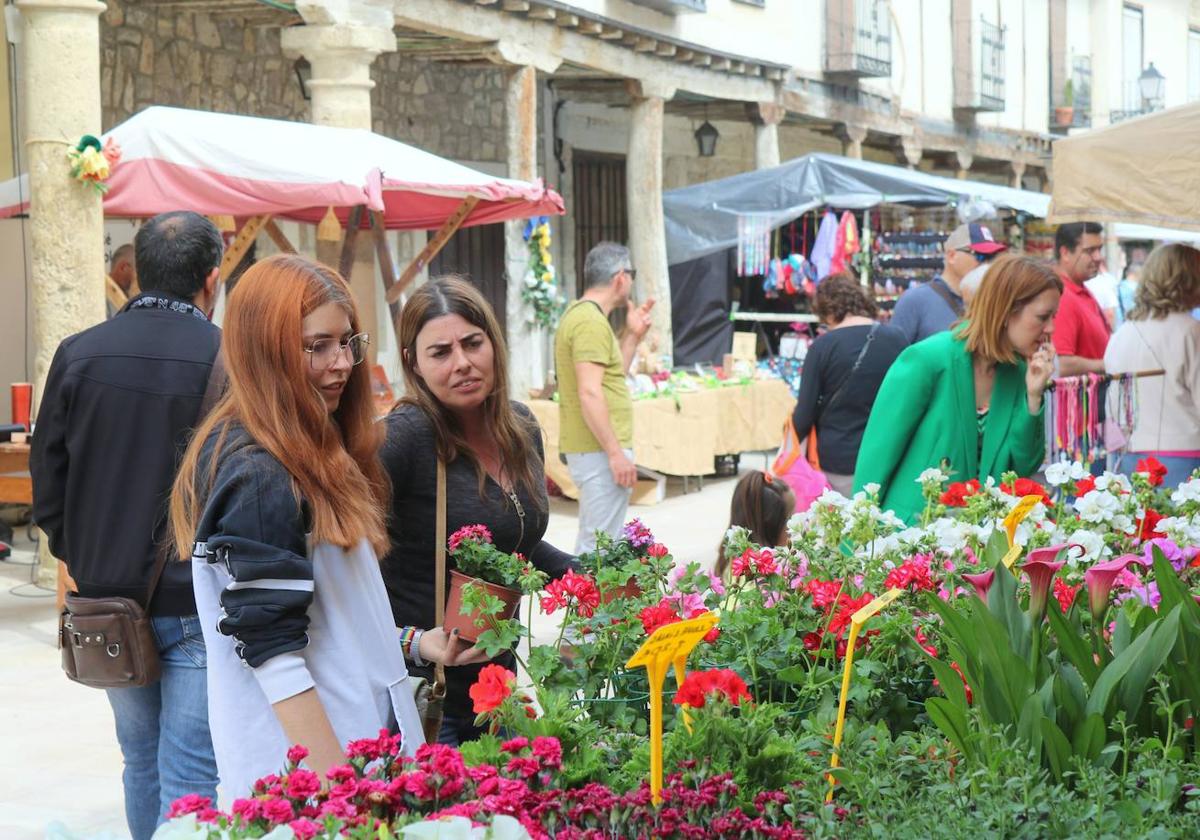 Ampudia se transforma en la capital de las flores