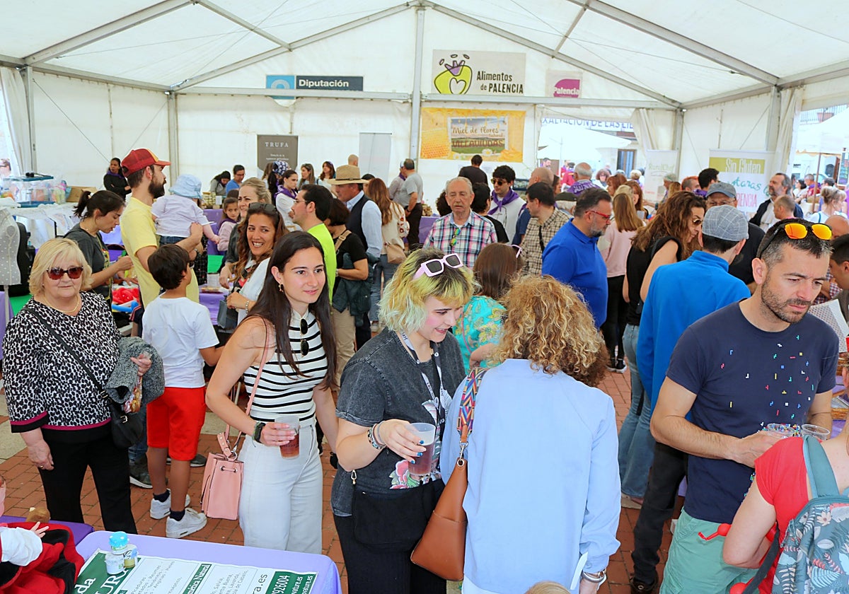 III Feria de &quot;Exaltación de las Lilas&quot; en Villaviudas
