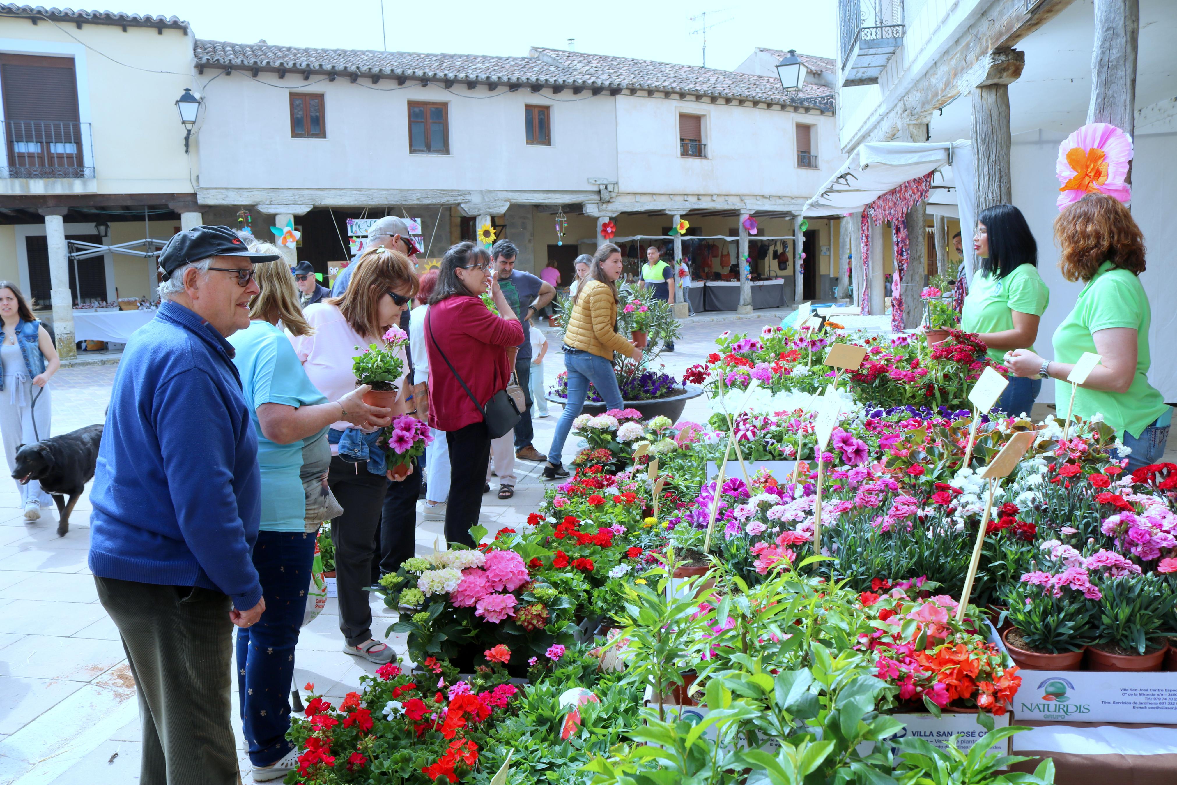 Ampudia celebra el XII Mercado Regional de la Flor