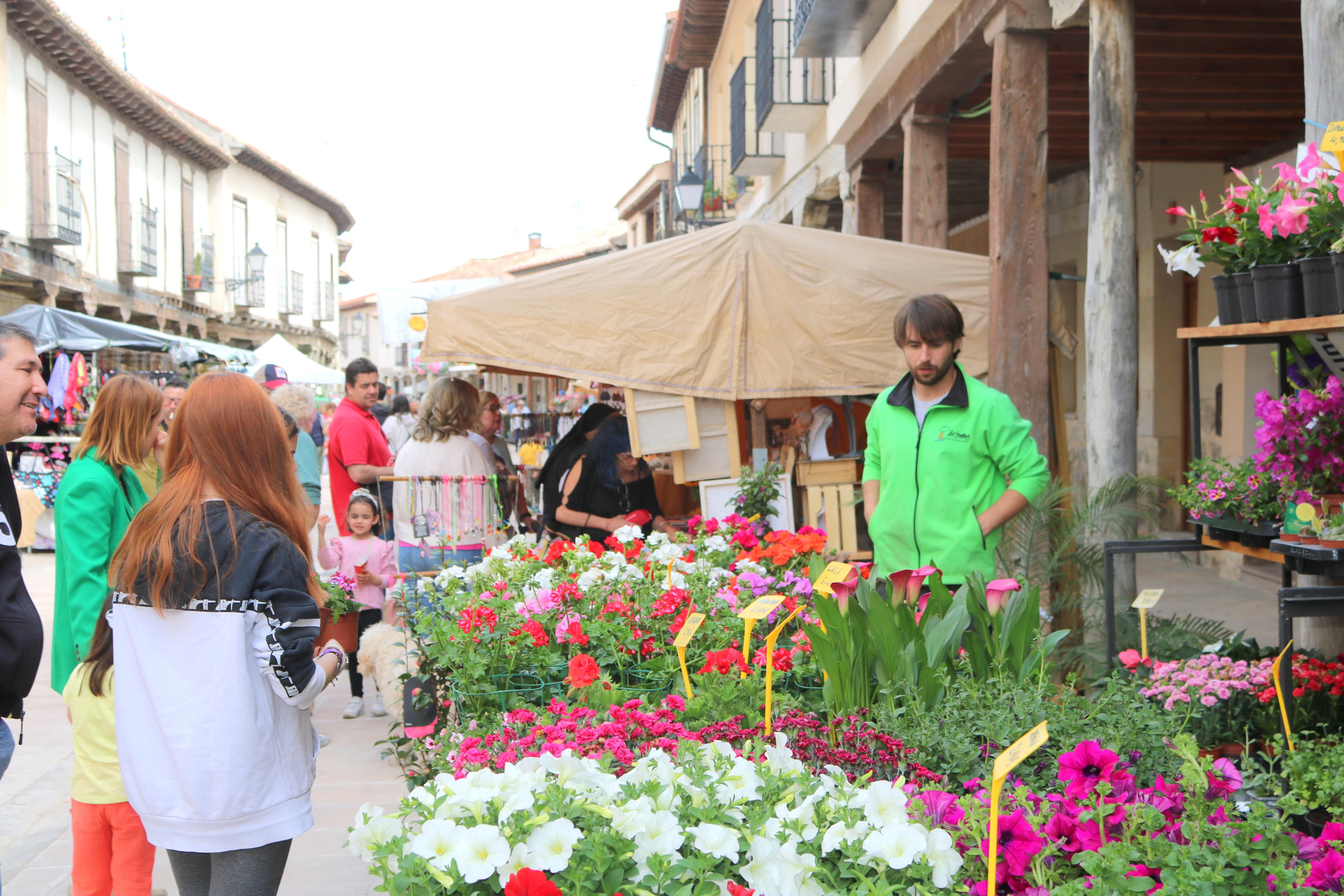 Ampudia celebra el XII Mercado Regional de la Flor