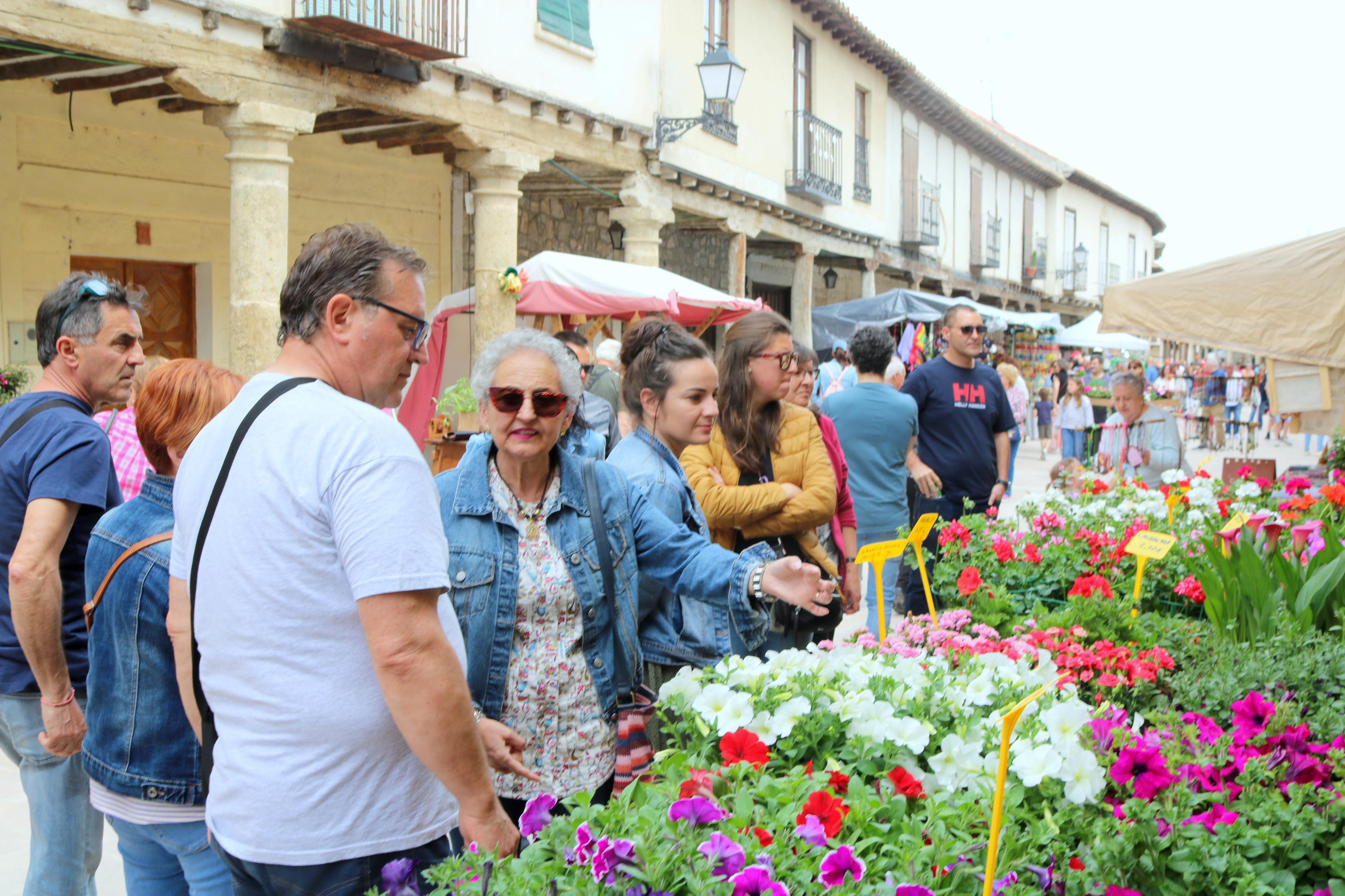 Ampudia celebra el XII Mercado Regional de la Flor