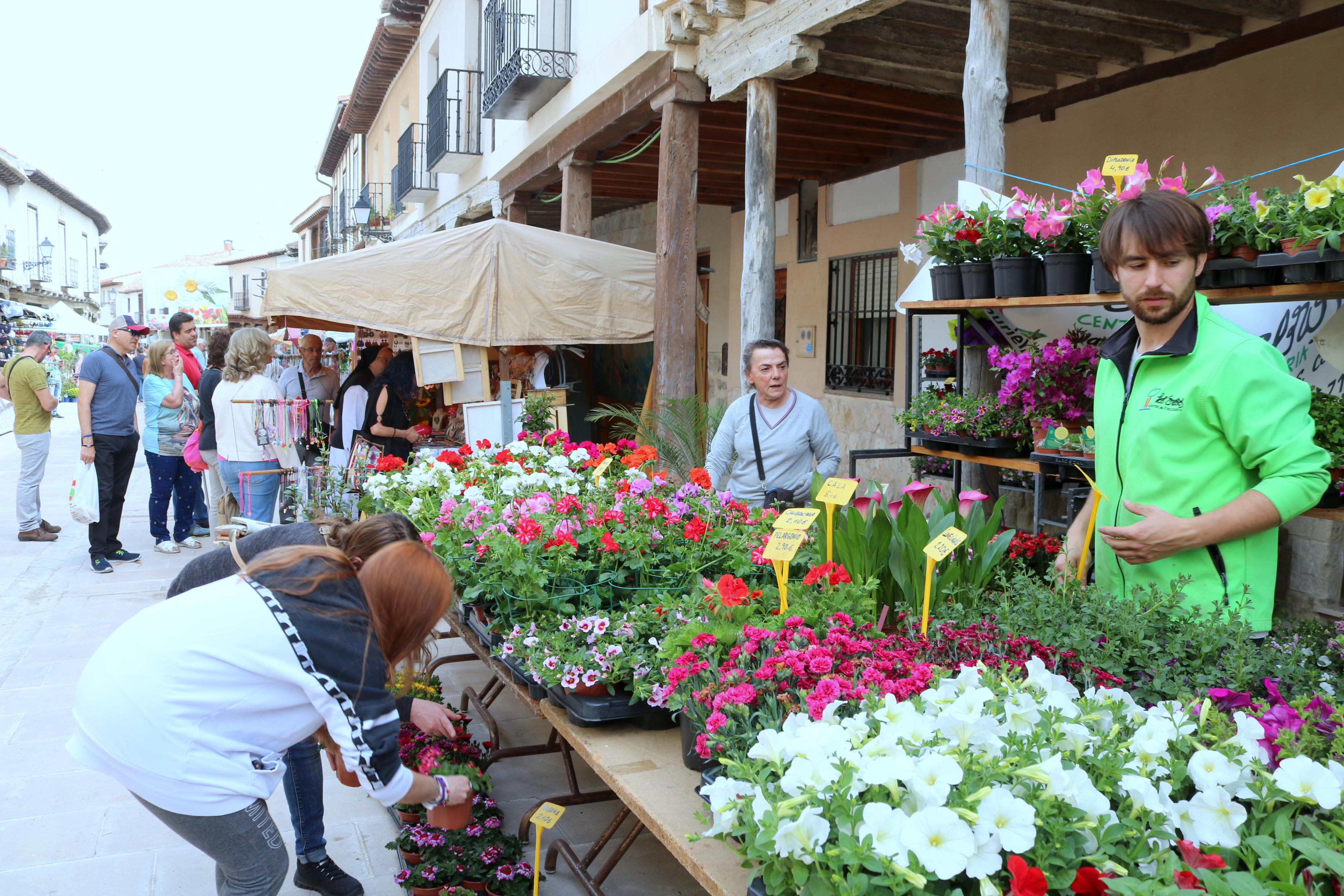 Ampudia celebra el XII Mercado Regional de la Flor