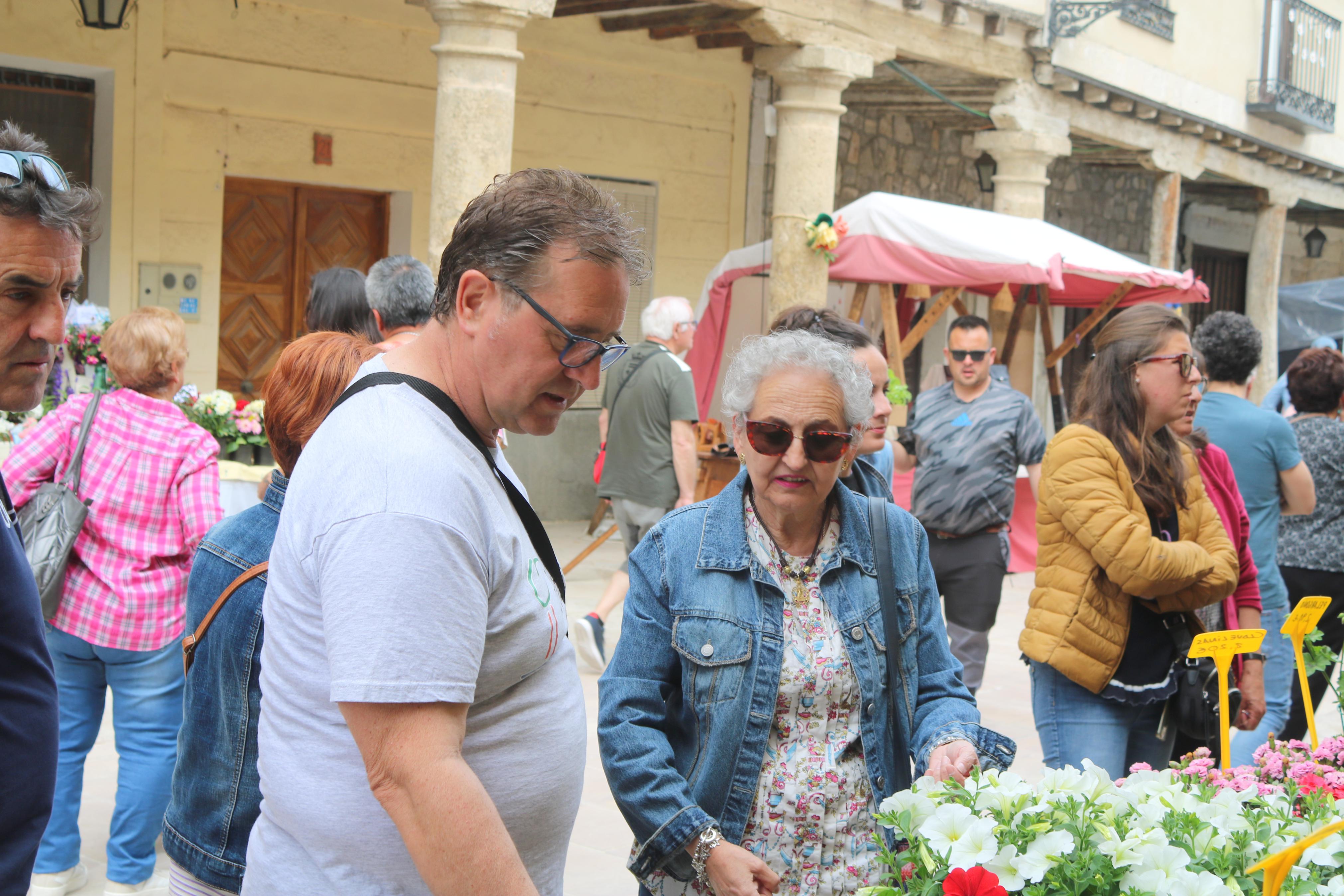 Ampudia celebra el XII Mercado Regional de la Flor