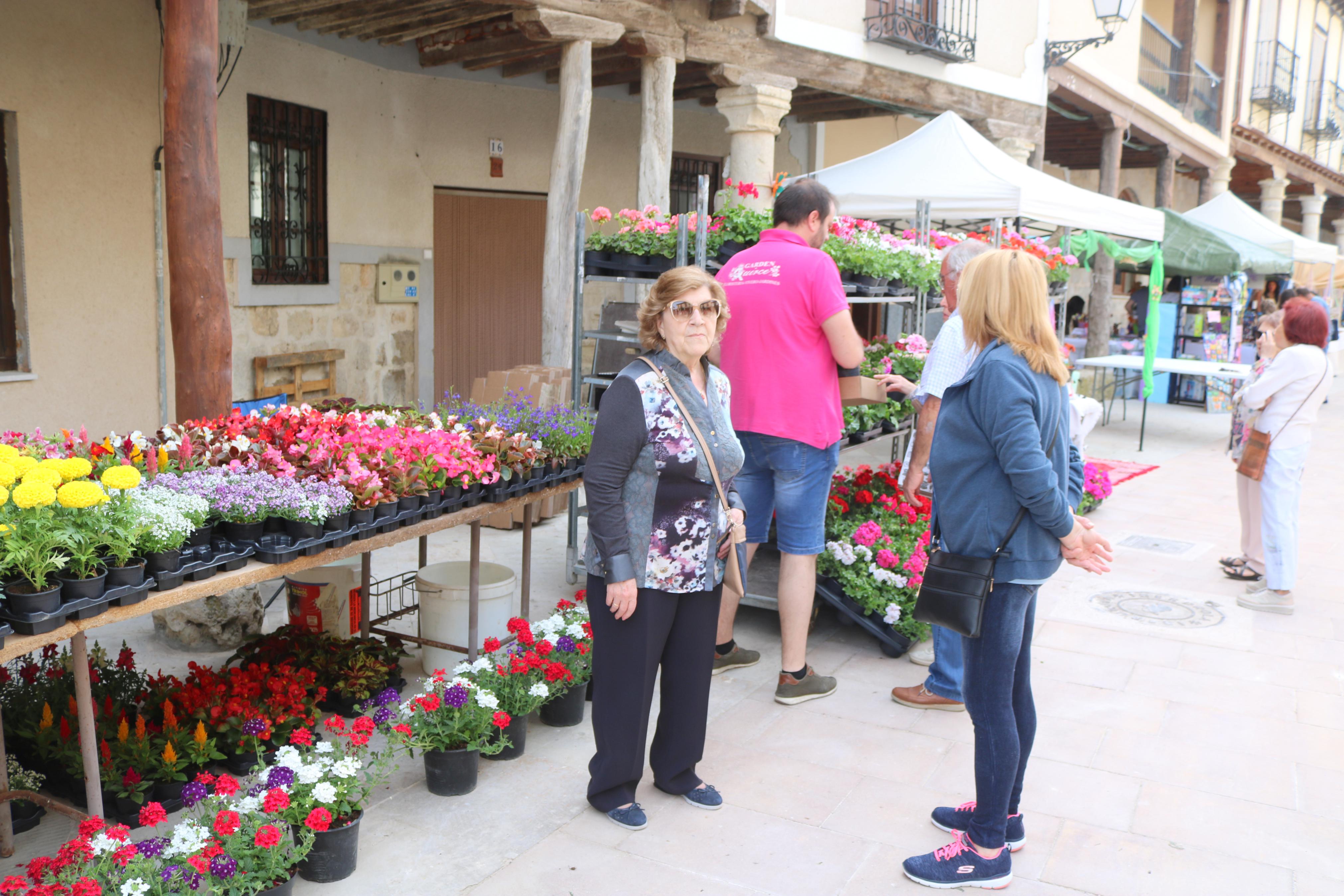 Ampudia celebra el XII Mercado Regional de la Flor