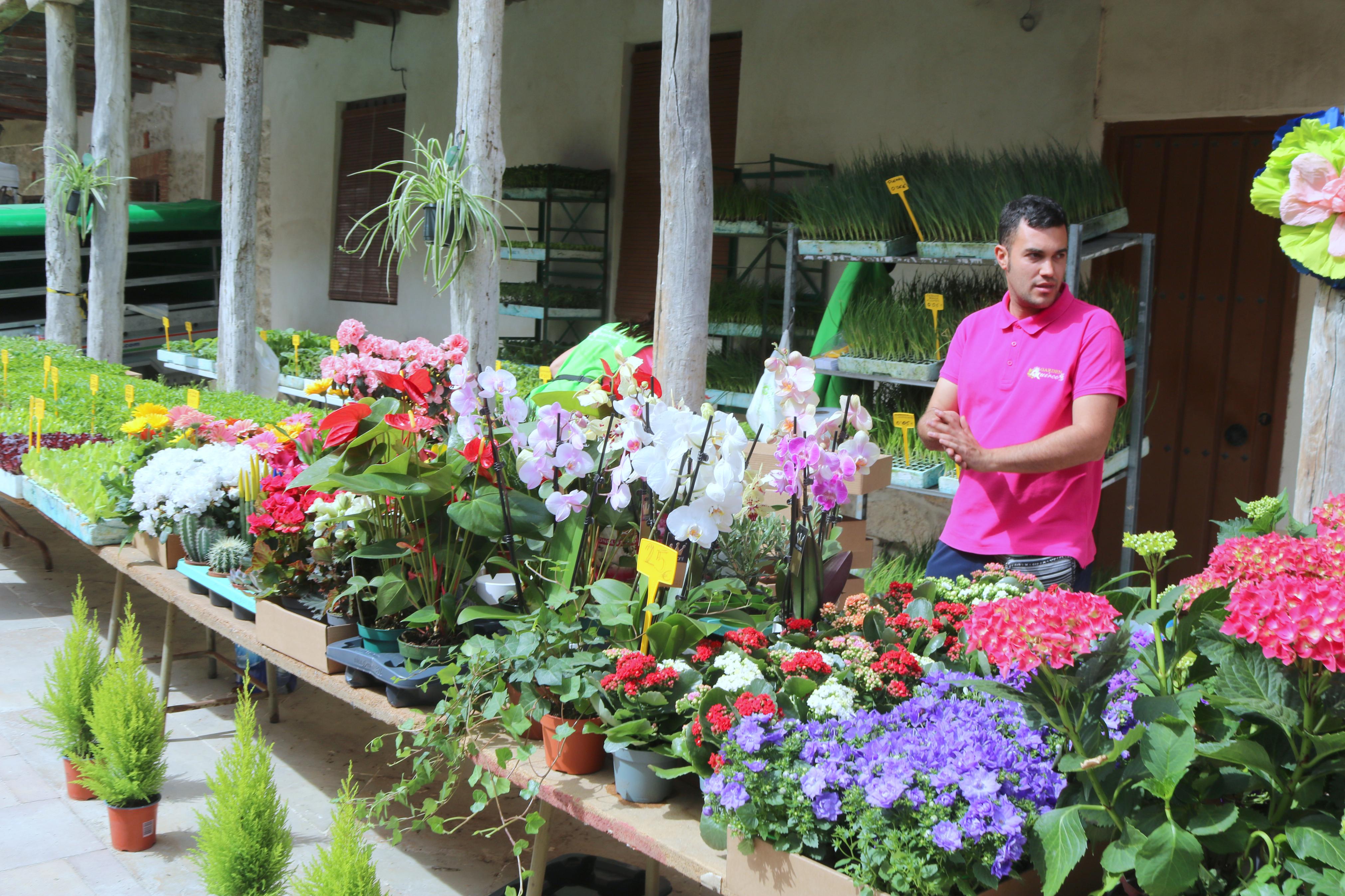 Ampudia celebra el XII Mercado Regional de la Flor