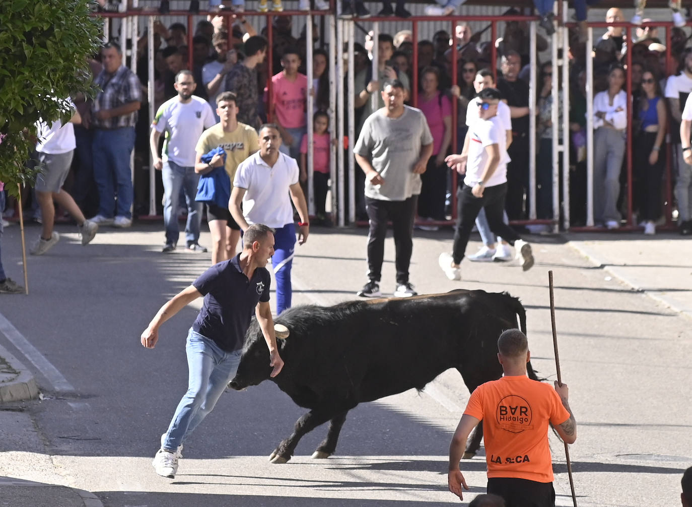 Encierro del Toro del Sarmiento en La Seca