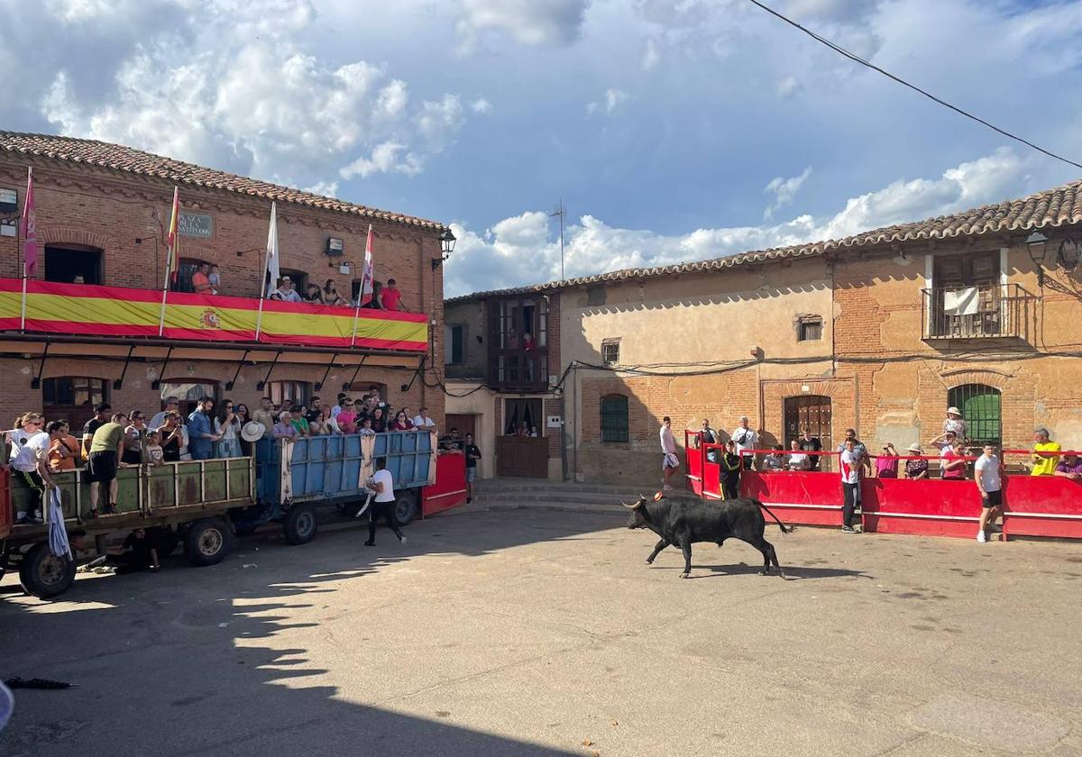 San Román disfruta de su 'Toro del Hornija'