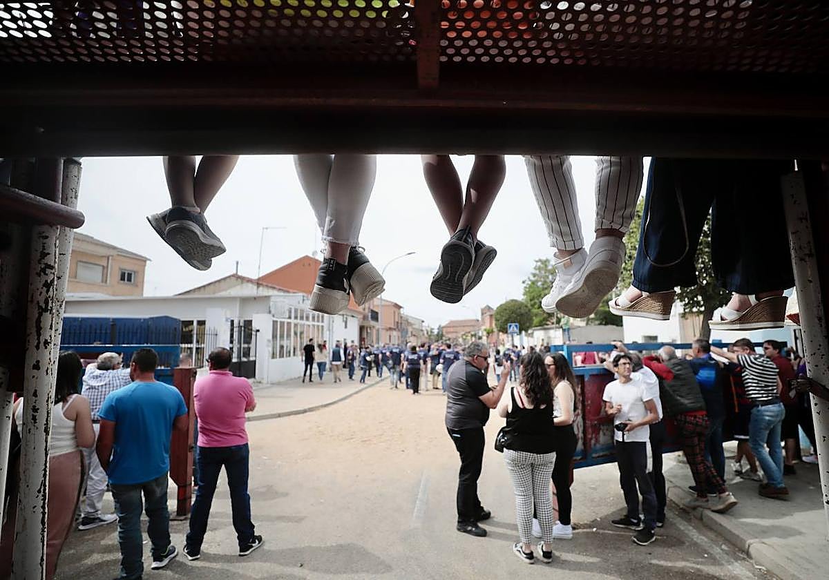 Encierro en la Seca con motivo de la Fiesta del Verdejo