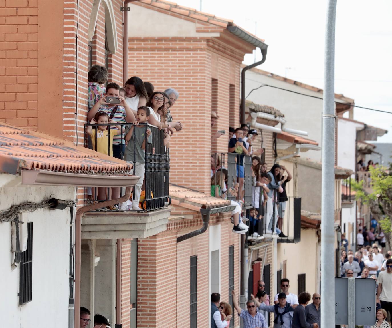 Encierro en la Seca con motivo de la Fiesta del Verdejo