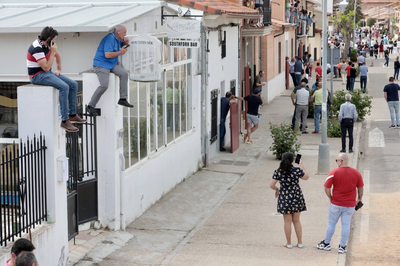Encierro en la Seca con motivo de la Fiesta del Verdejo