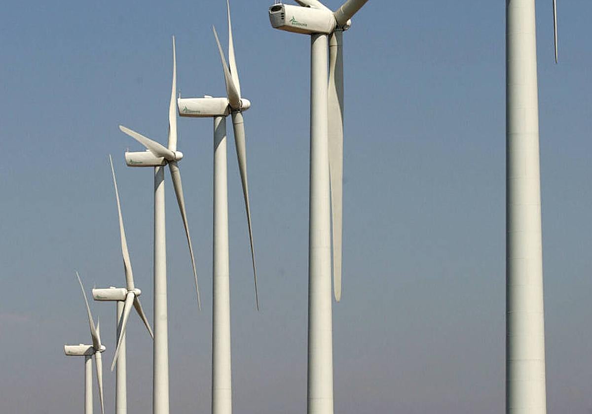 La locura de los molinos