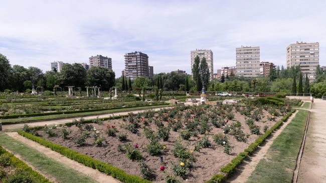 Imagen después - Ocho curiosidades para redescubrir una de las rosaledas más antiguas de España