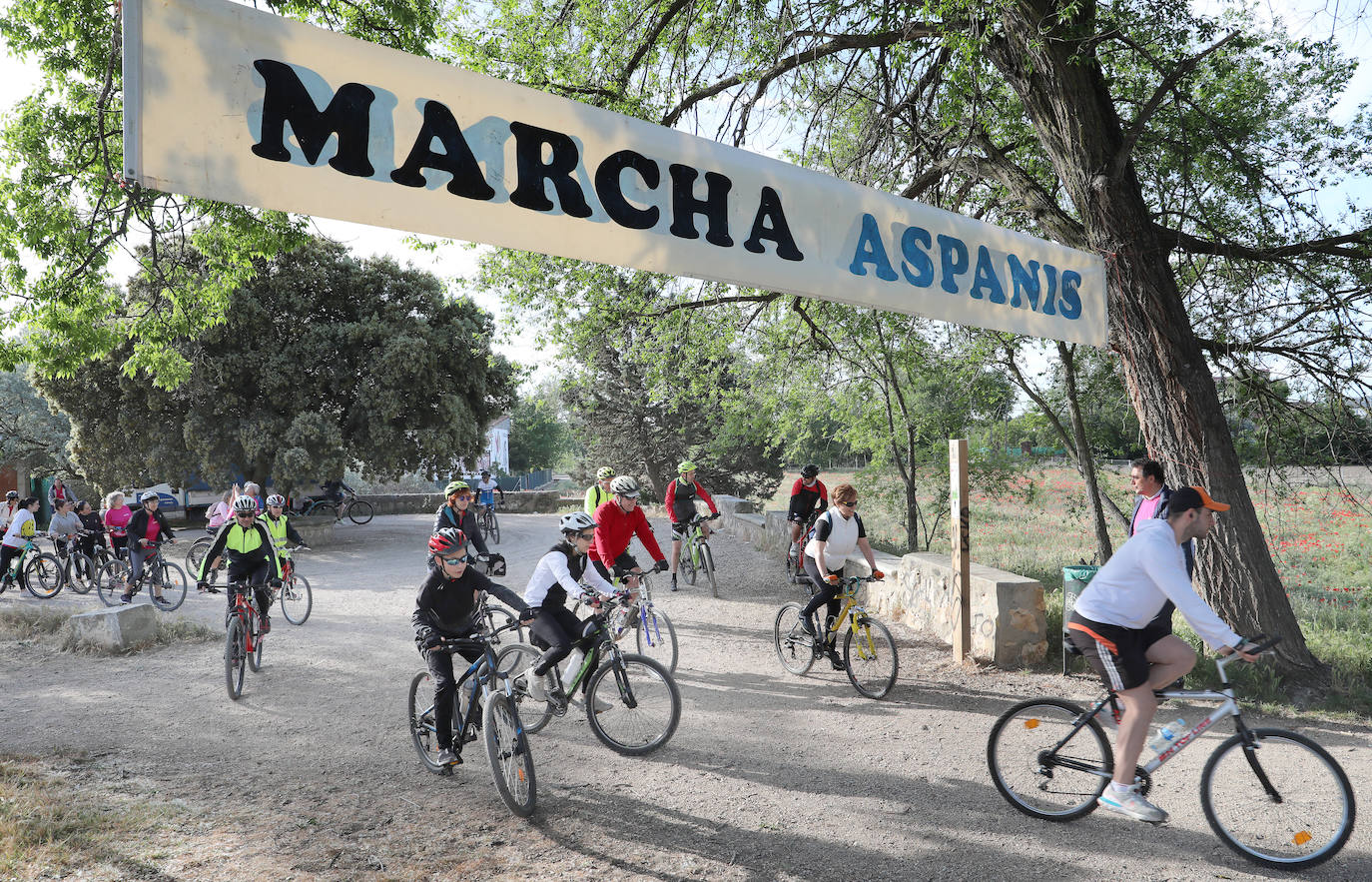 Más de mil palentinos se unen a la marcha de Aspanis