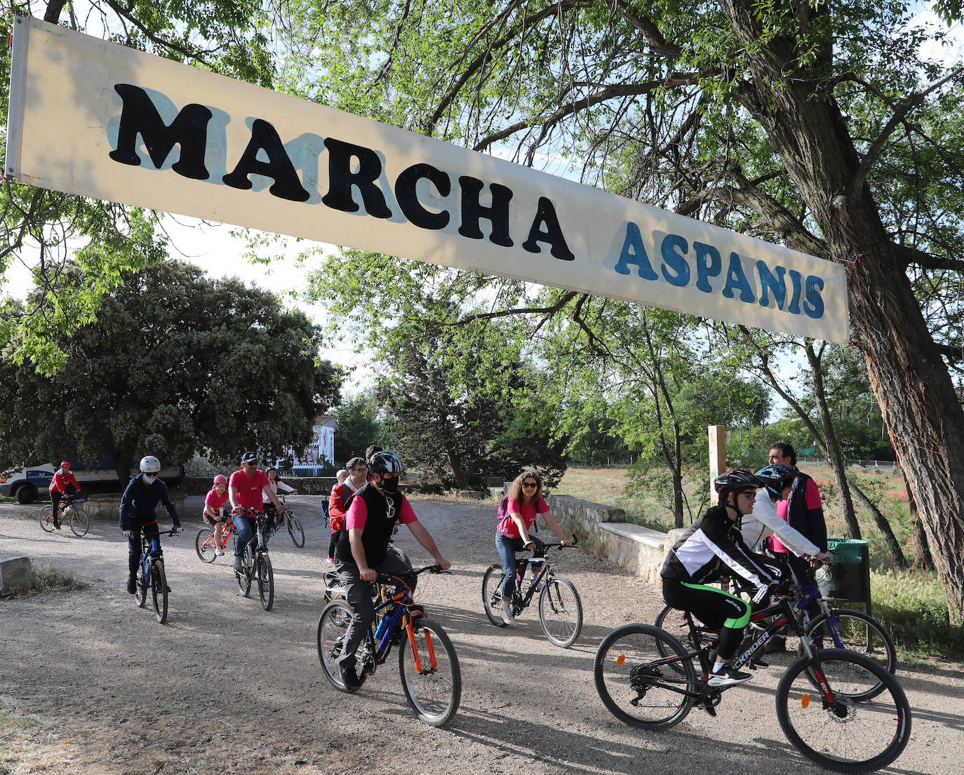 Más de mil palentinos se unen a la marcha de Aspanis