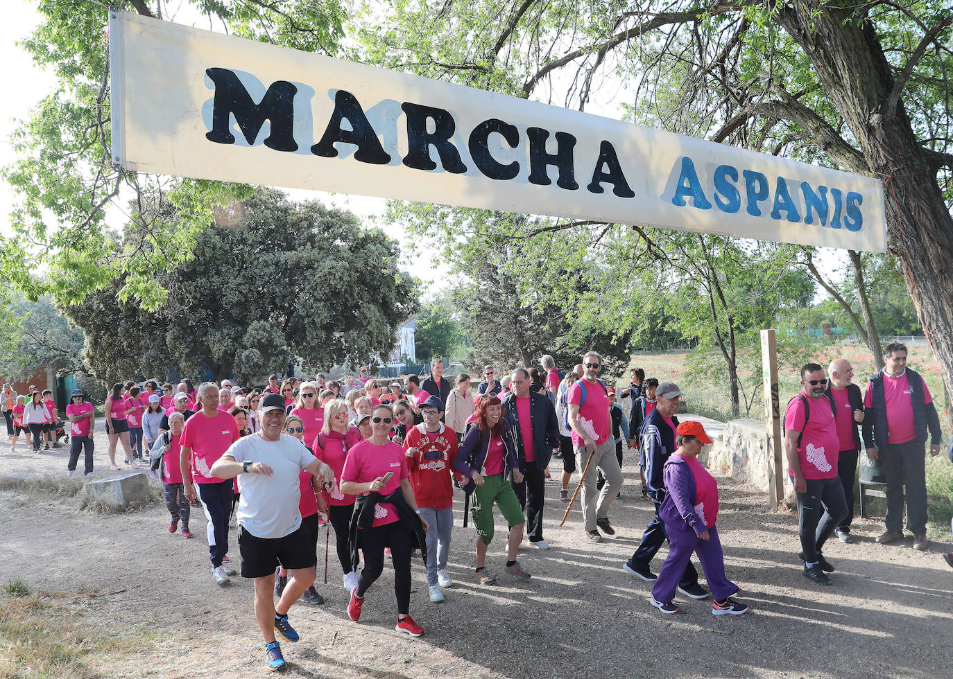 Más de mil palentinos se unen a la marcha de Aspanis