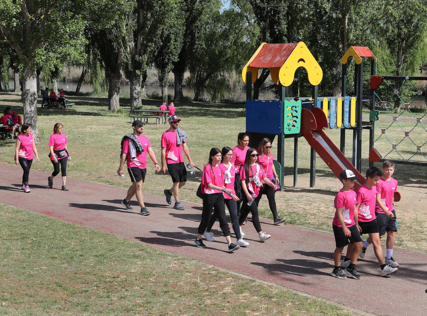 Más de mil palentinos se unen a la marcha de Aspanis