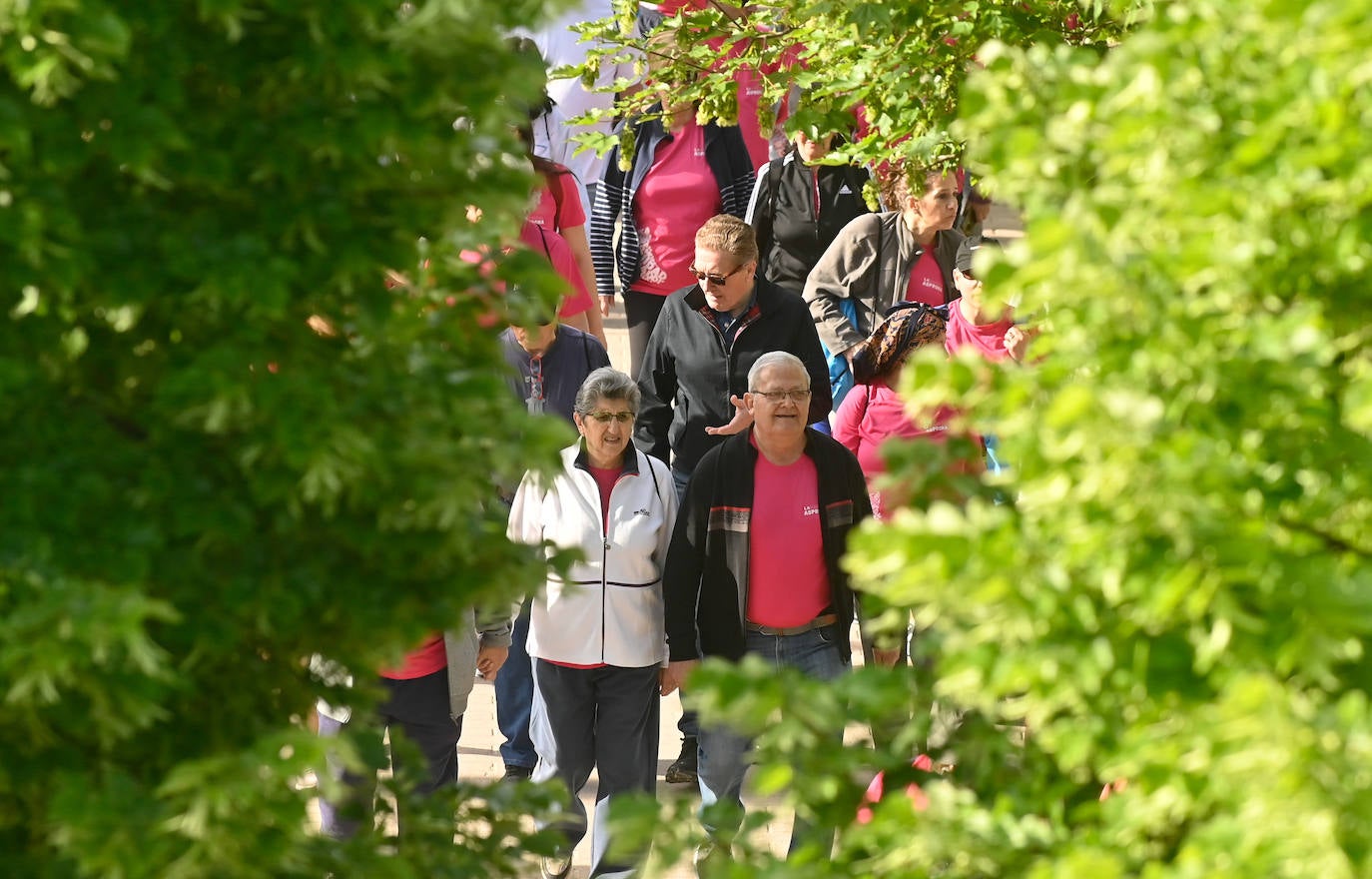 Fotografías de los andarines de la Marcha Asprona 2023 (1 de 1)