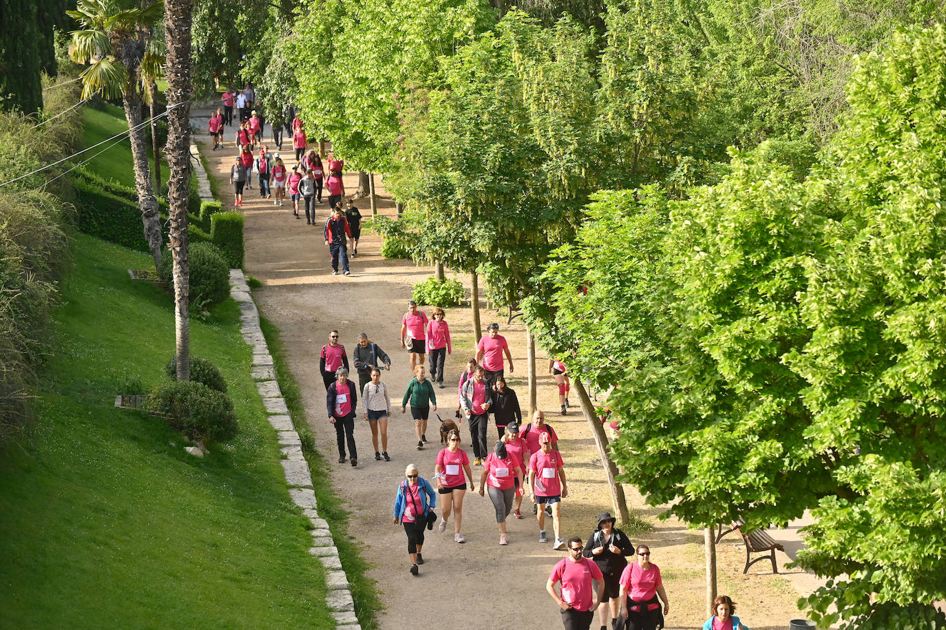 Fotografías de los andarines de la Marcha Asprona 2023 (1 de 1)