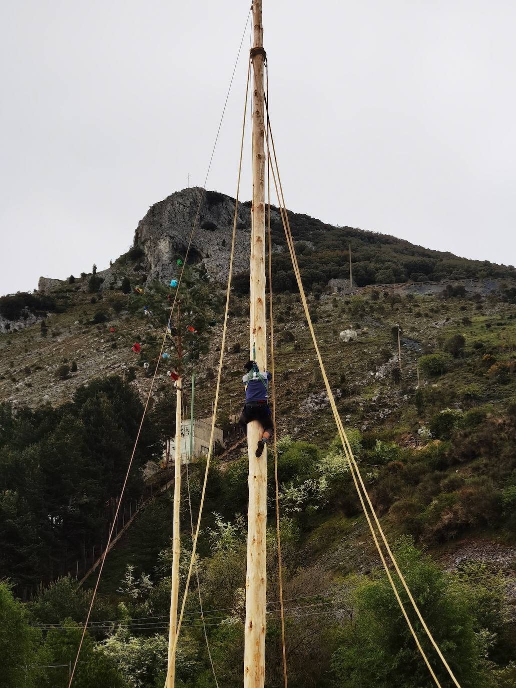 Velilla celebra la Pinada del Mayo