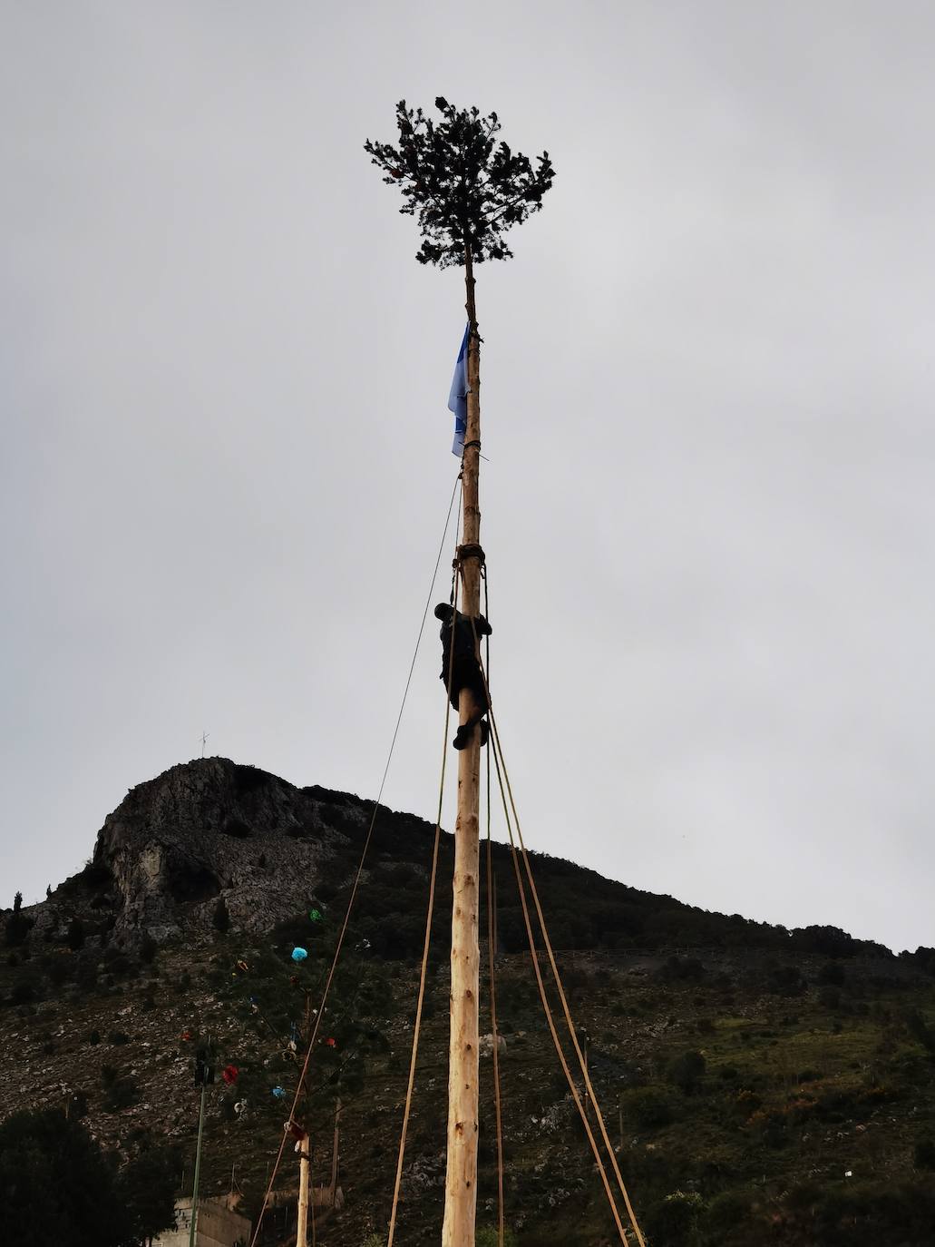 Velilla celebra la Pinada del Mayo