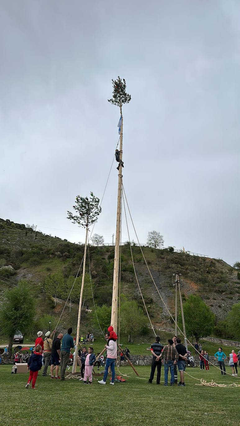 Velilla celebra la Pinada del Mayo