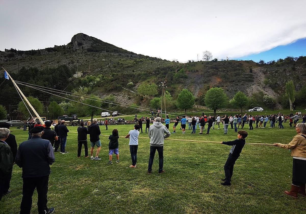 Velilla celebra la Pinada del Mayo