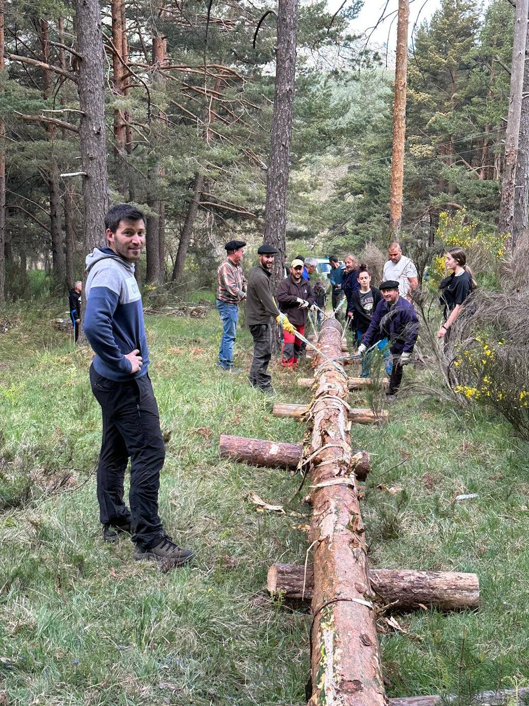 Velilla celebra la Pinada del Mayo