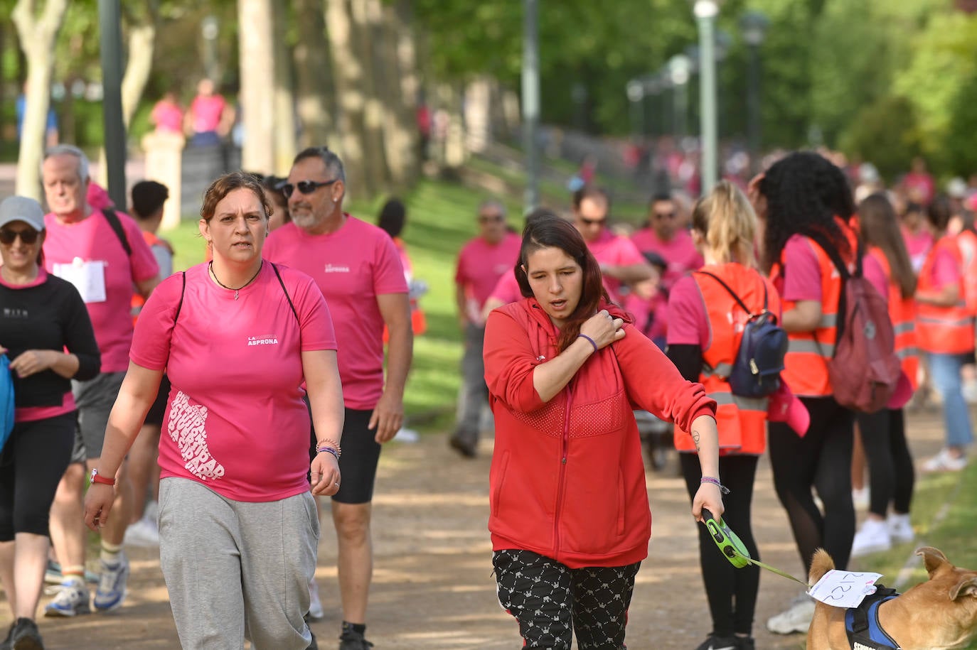 Las fotos de la Marcha Asprona 2023 en Valladolid (1 de 4)