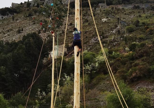 Uno de los participantes asciende por el pino.