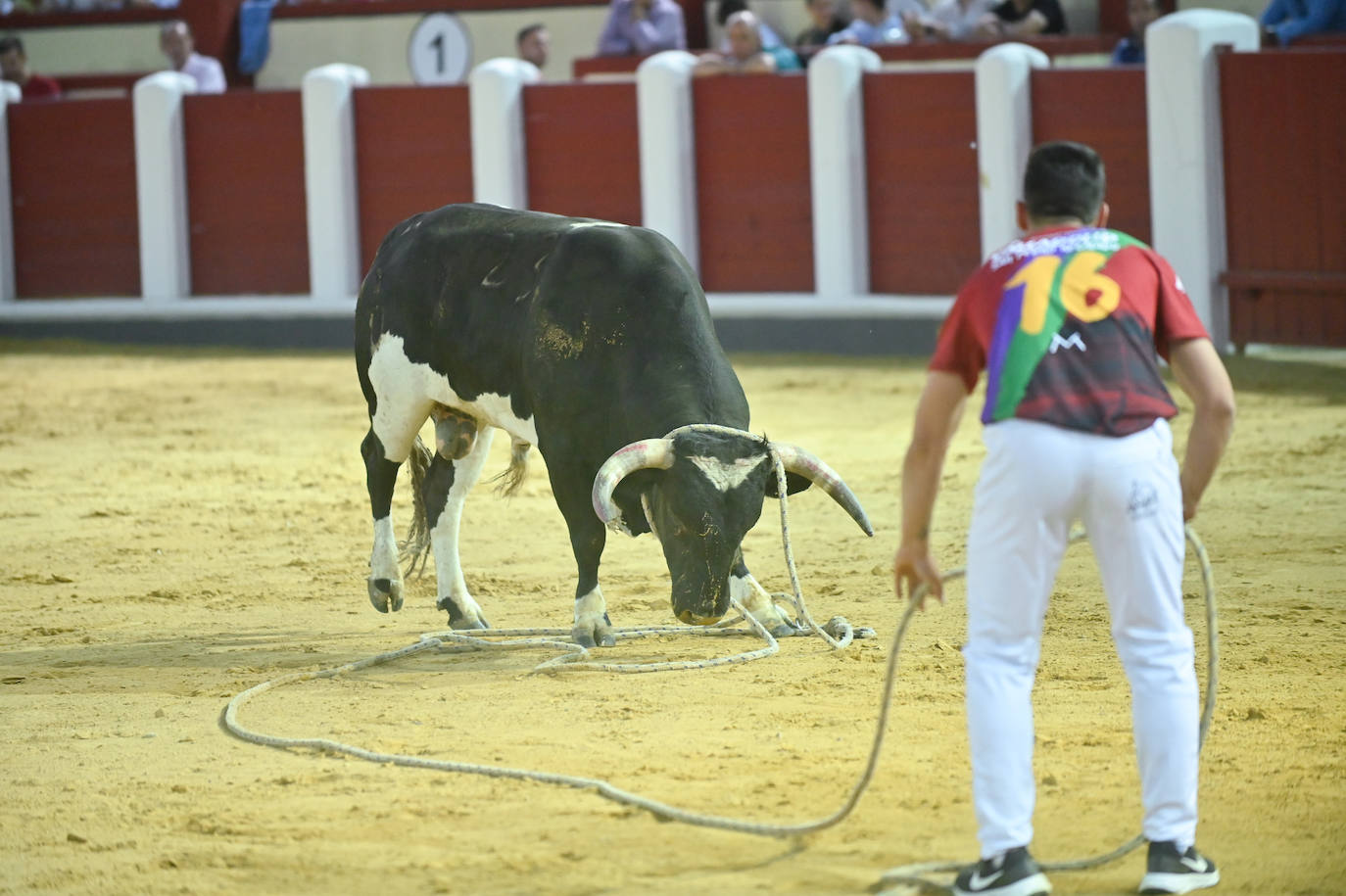 La mejores fotos del Concurso cortes quiebros y saltos de Valladolid (I)