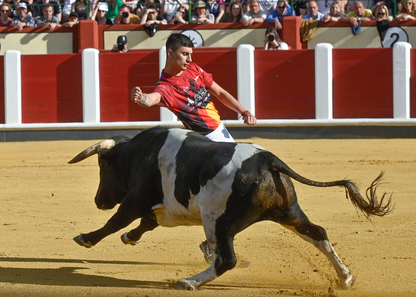 La mejores fotos del Concurso cortes quiebros y saltos de Valladolid (I)