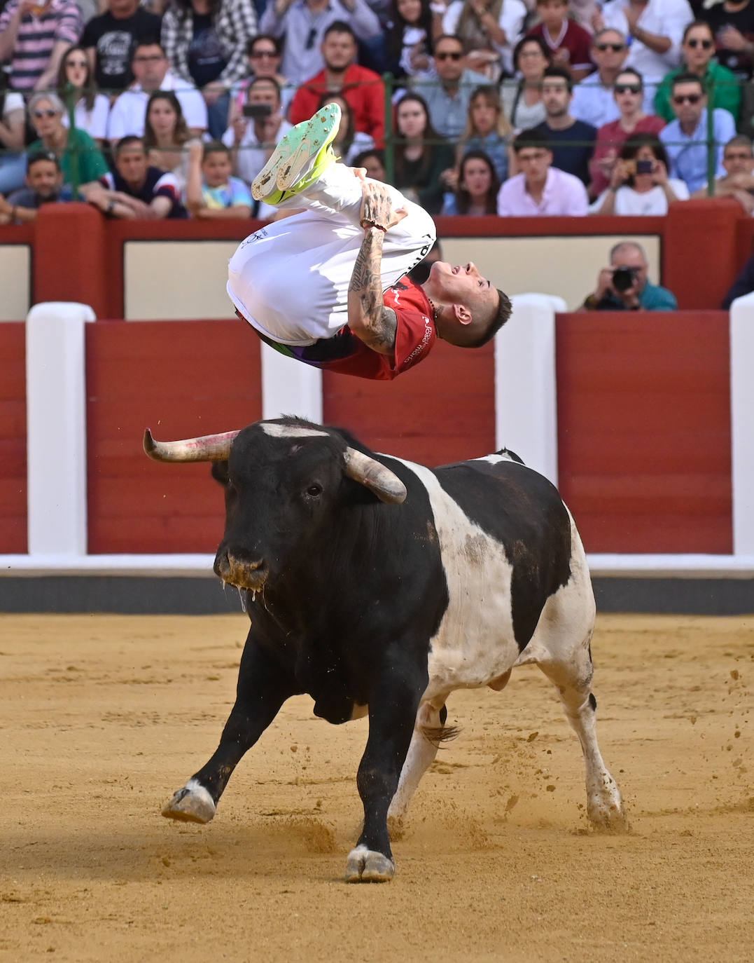 La mejores fotografías del Concurso cortes quiebros y saltos de Valladolid (II)